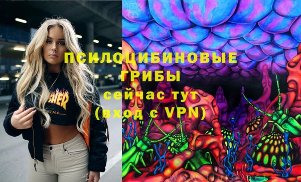 ешки Горнозаводск