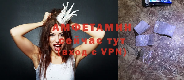 амф Гусь-Хрустальный