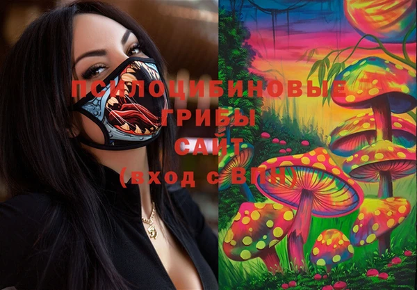 молекула духа Волосово