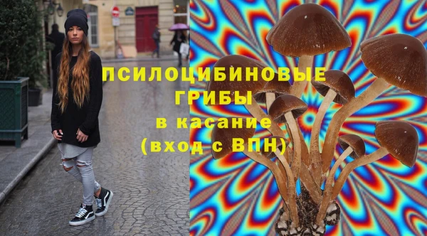 прущая мука Горно-Алтайск