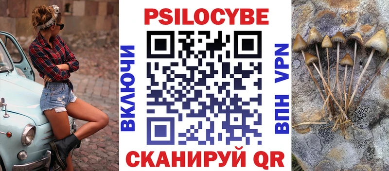 Псилоцибиновые грибы мицелий  Дмитров 