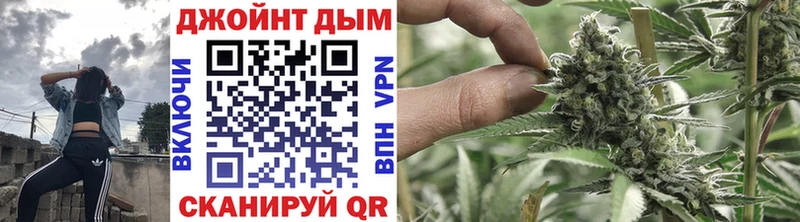 Конопля план Дмитров